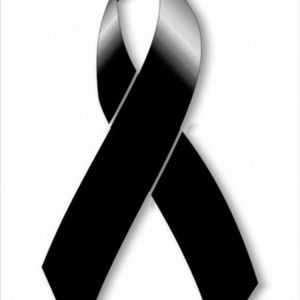 Meet your Posher, Luis